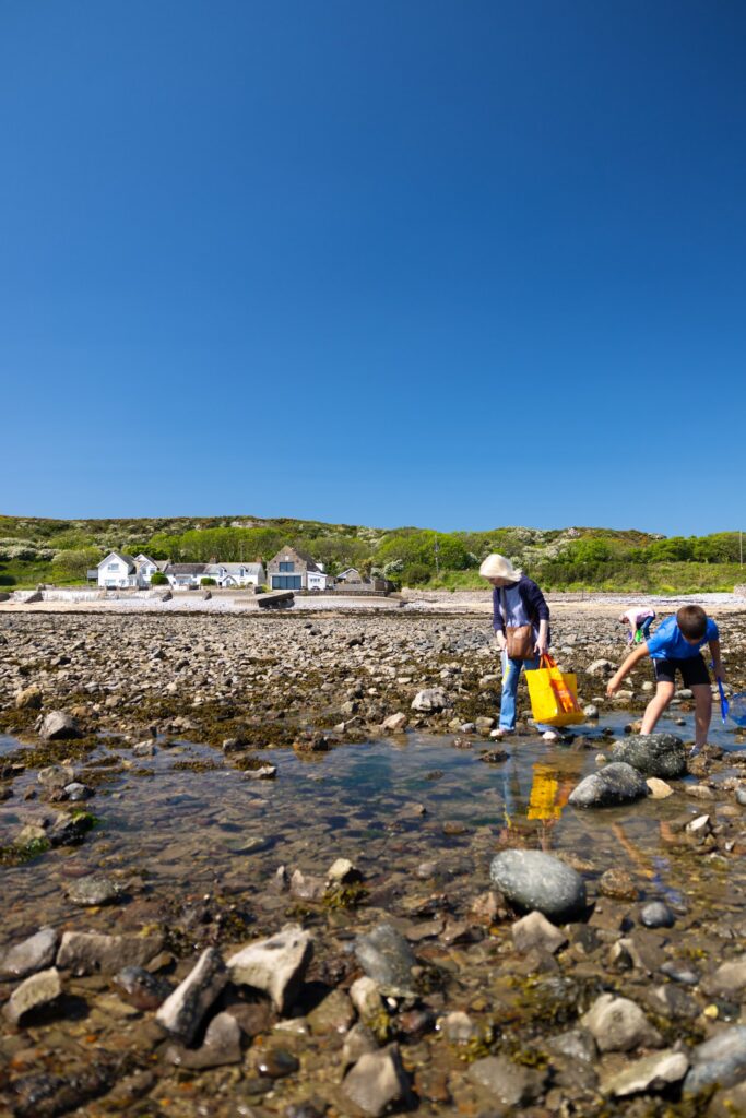 The Boat House, Port Eynon — coastal accommodation