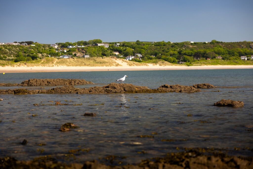 View at the Gower